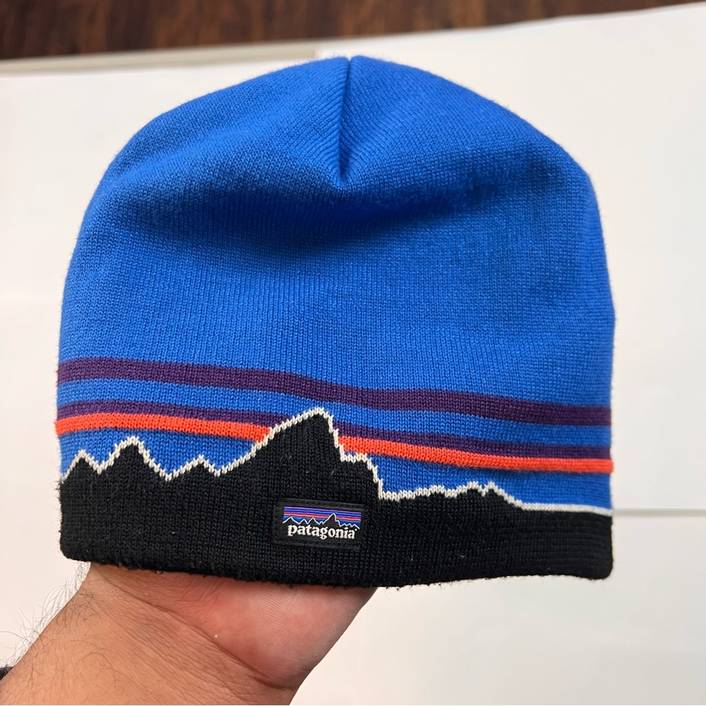 Patagonia Unisex Beanie